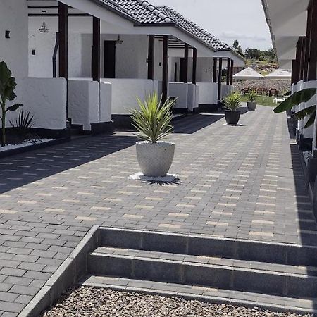 Bungalow Terra Kordu Băile Felix エクステリア 写真