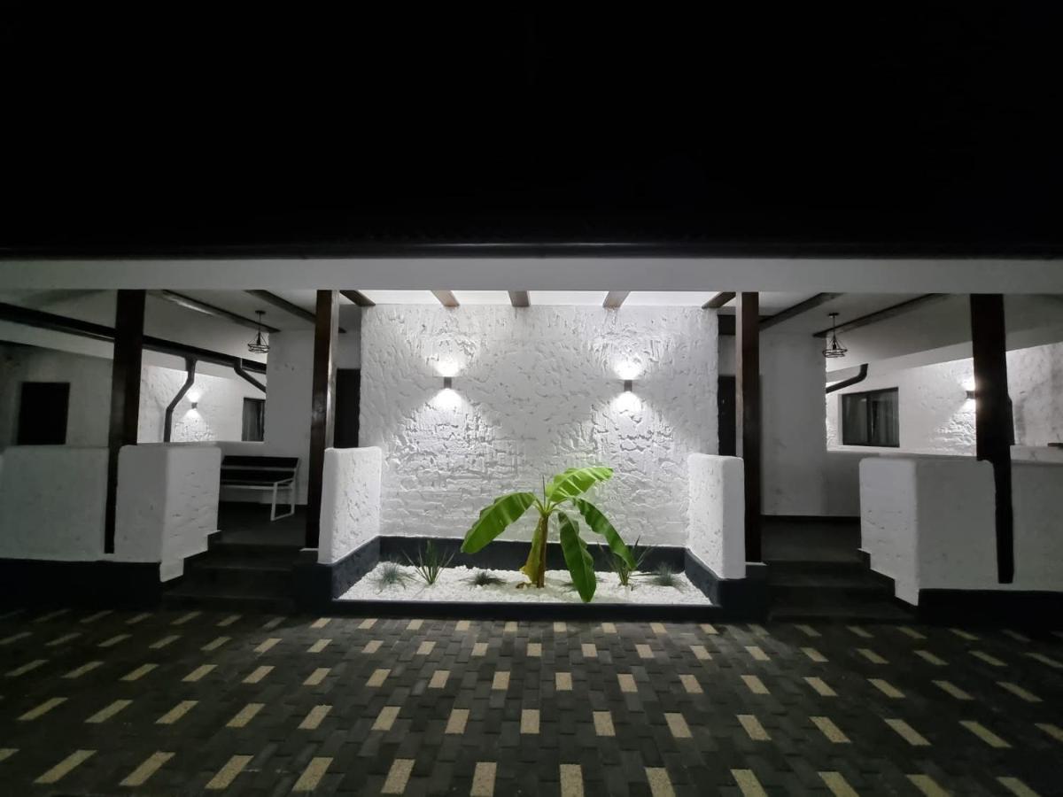 Bungalow Terra Kordu Băile Felix エクステリア 写真
