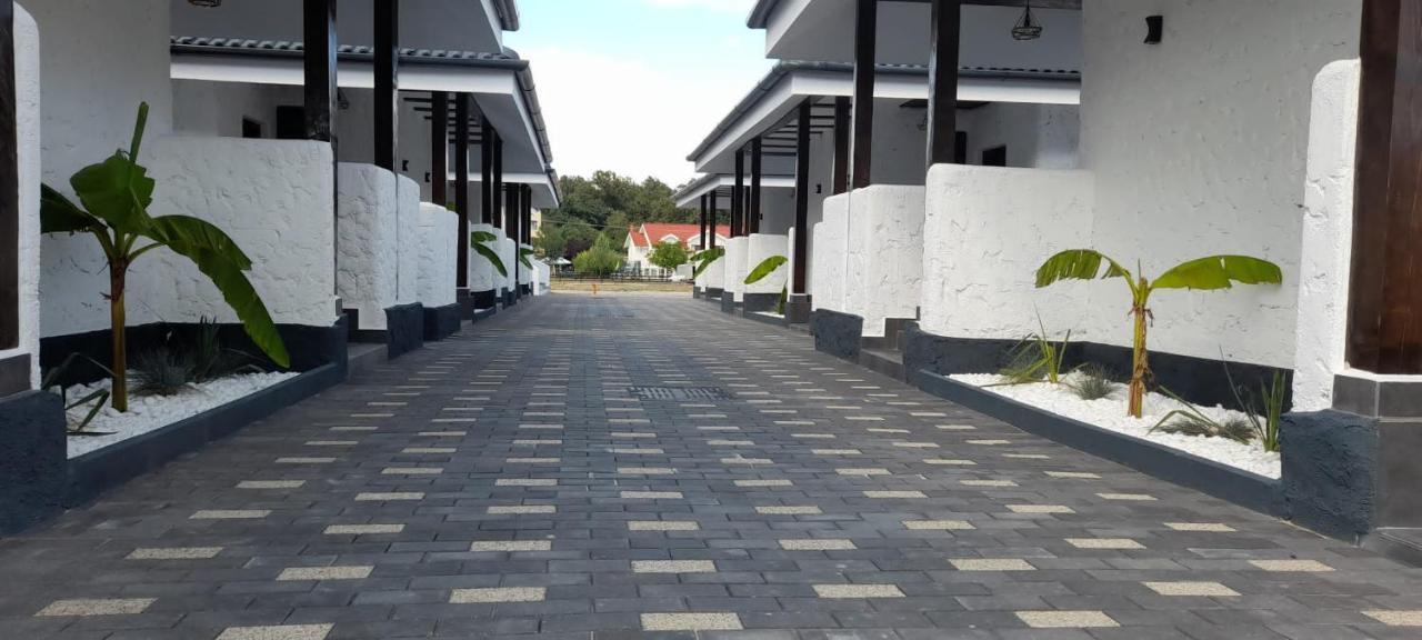 Bungalow Terra Kordu Băile Felix エクステリア 写真