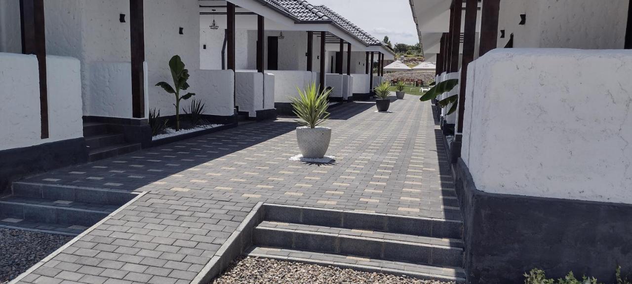 Bungalow Terra Kordu Băile Felix エクステリア 写真