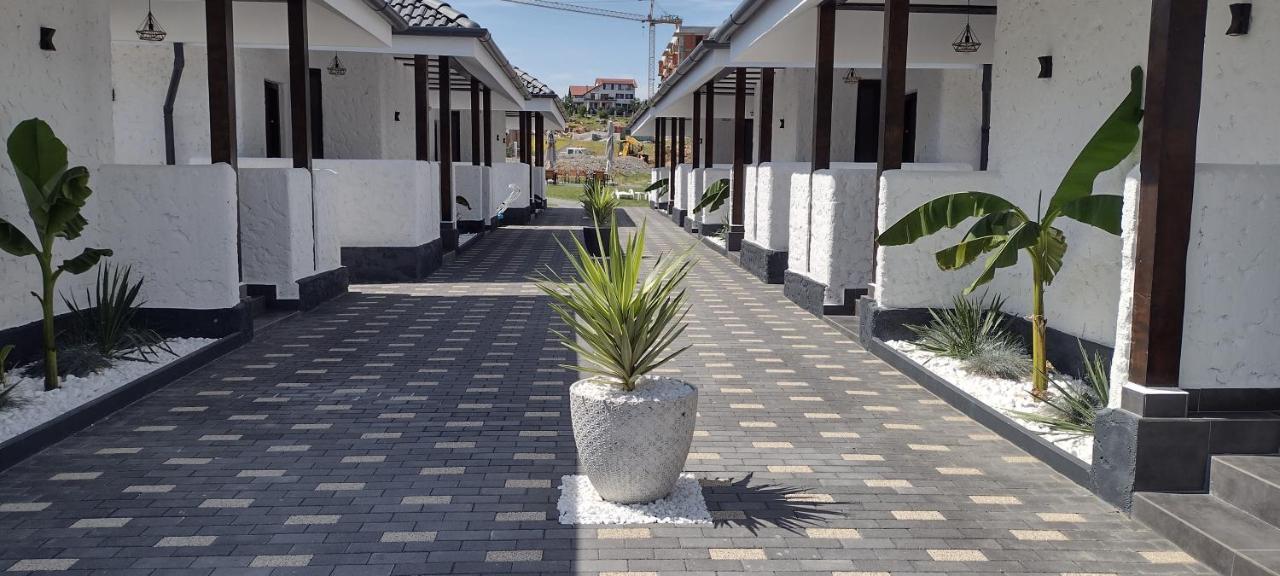 Bungalow Terra Kordu Băile Felix エクステリア 写真